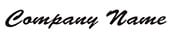 Style 3: Script preview